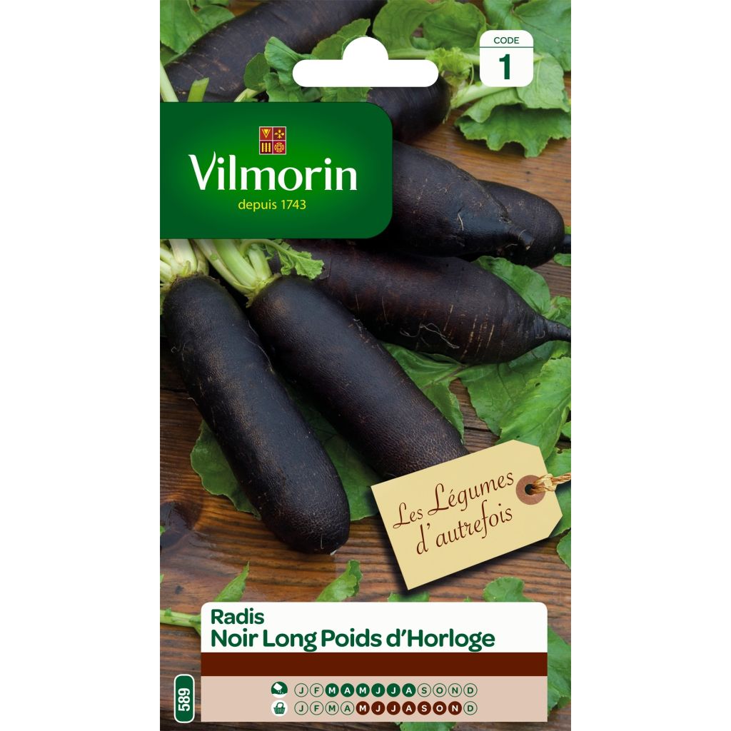 Rábano negro Radis noir Long Poids d'Horloge