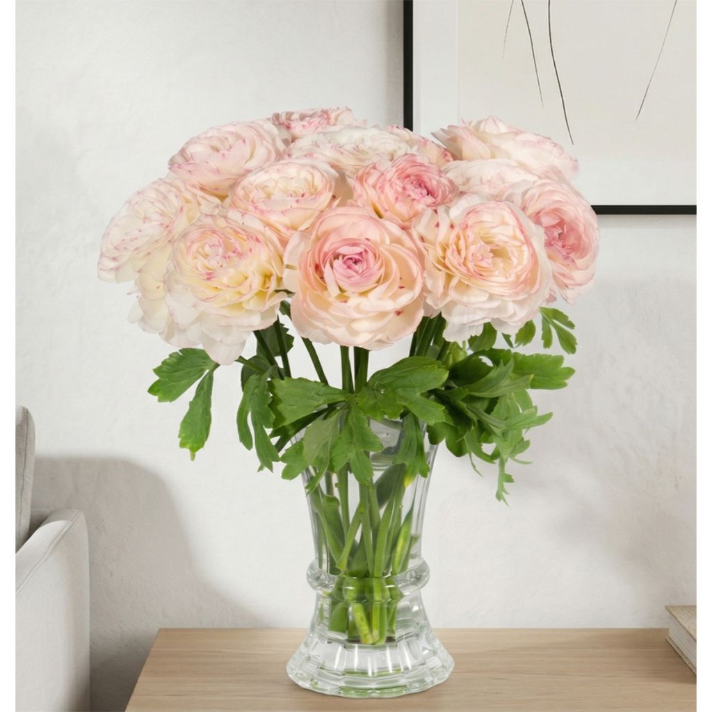 Ranúnculo Romance Orleans – Ranunculus asiaticus