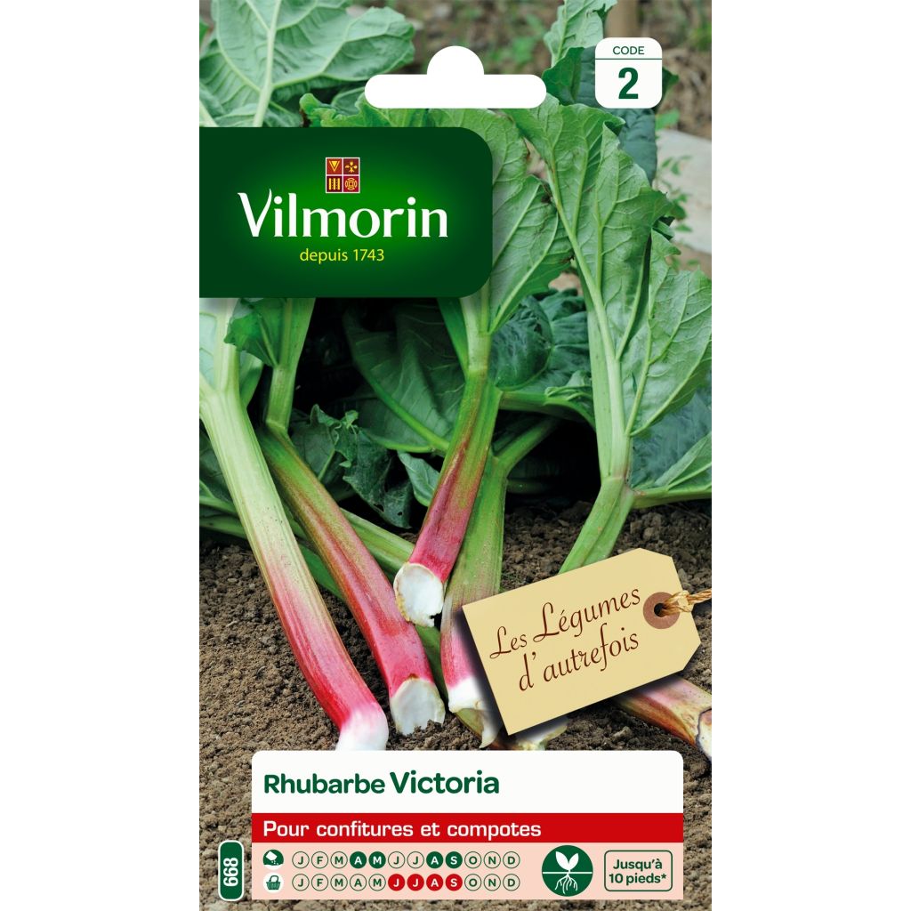 Ruibarbo Victoria - Vilmorin