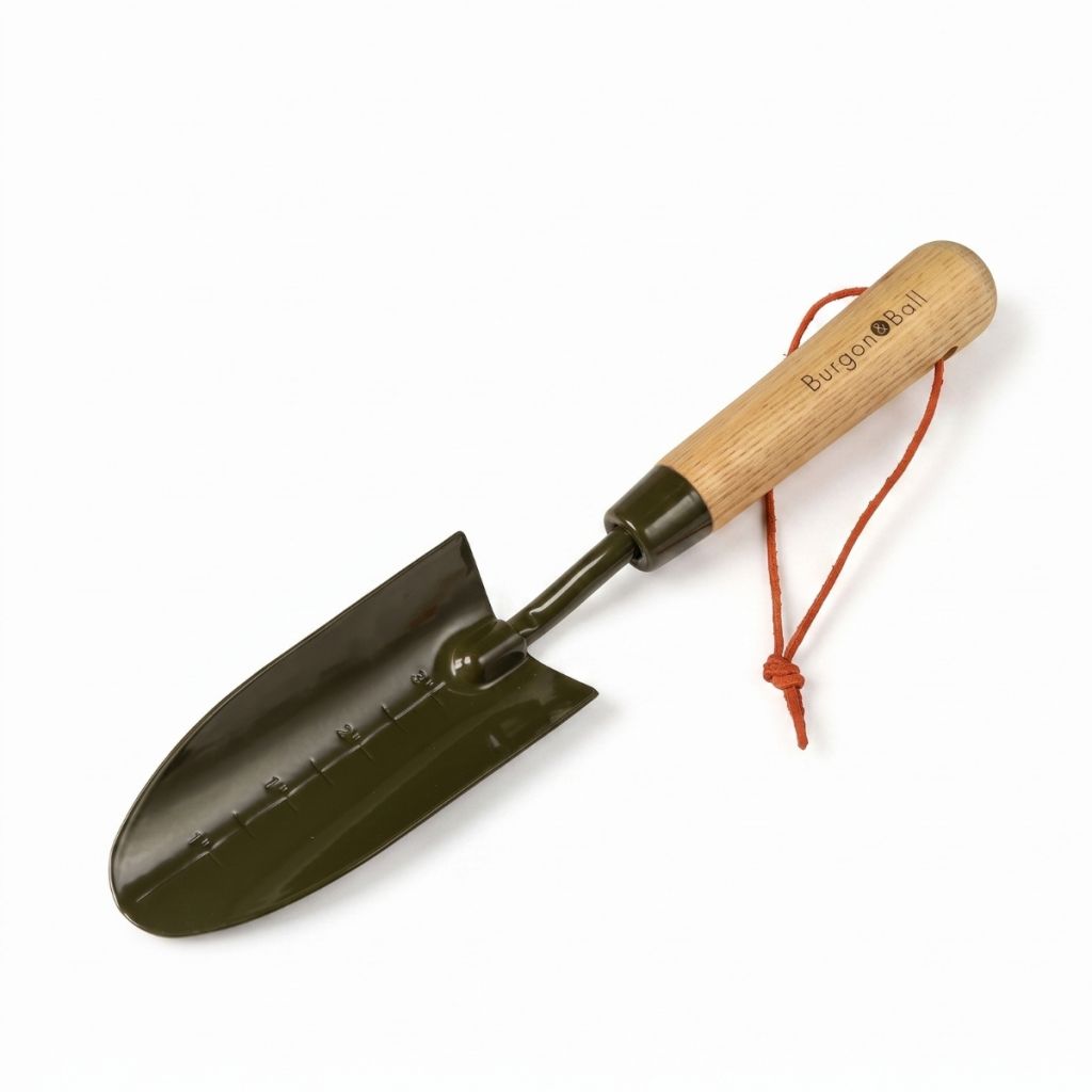 Trasplantador graduado BoronGreen Burgon and Ball - Gama RHS