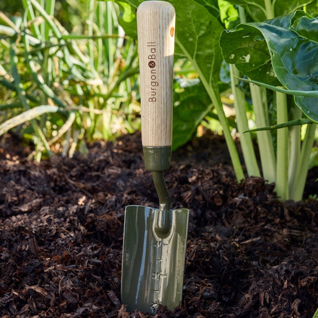 Trasplantador graduado BoronGreen Burgon and Ball - Gama RHS