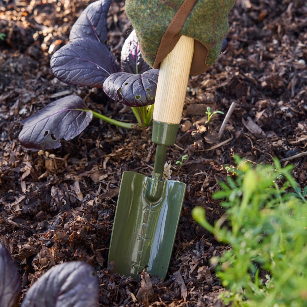 Trasplantador graduado BoronGreen Burgon and Ball - Gama RHS