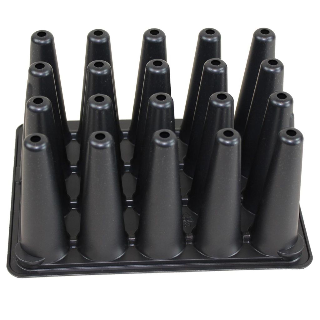 Bandeja de 20 alveolados especial para zanahorias - vendido por 5