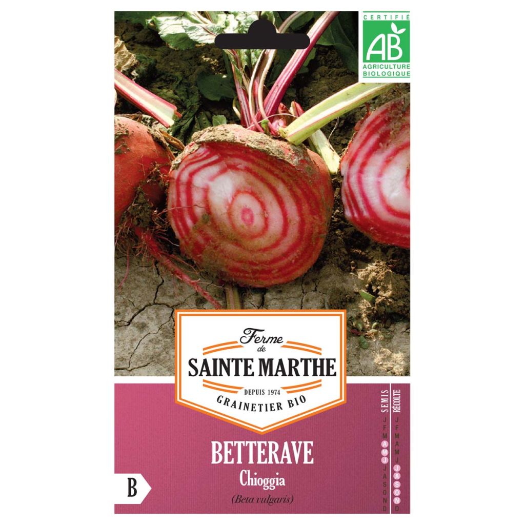 Remolacha de mesa Chioggia Bio