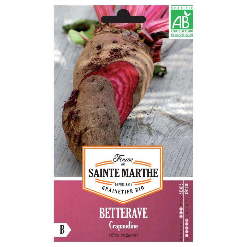 Remolacha de mesa Crapaudine Bio - Ferme de Sainte Marthe