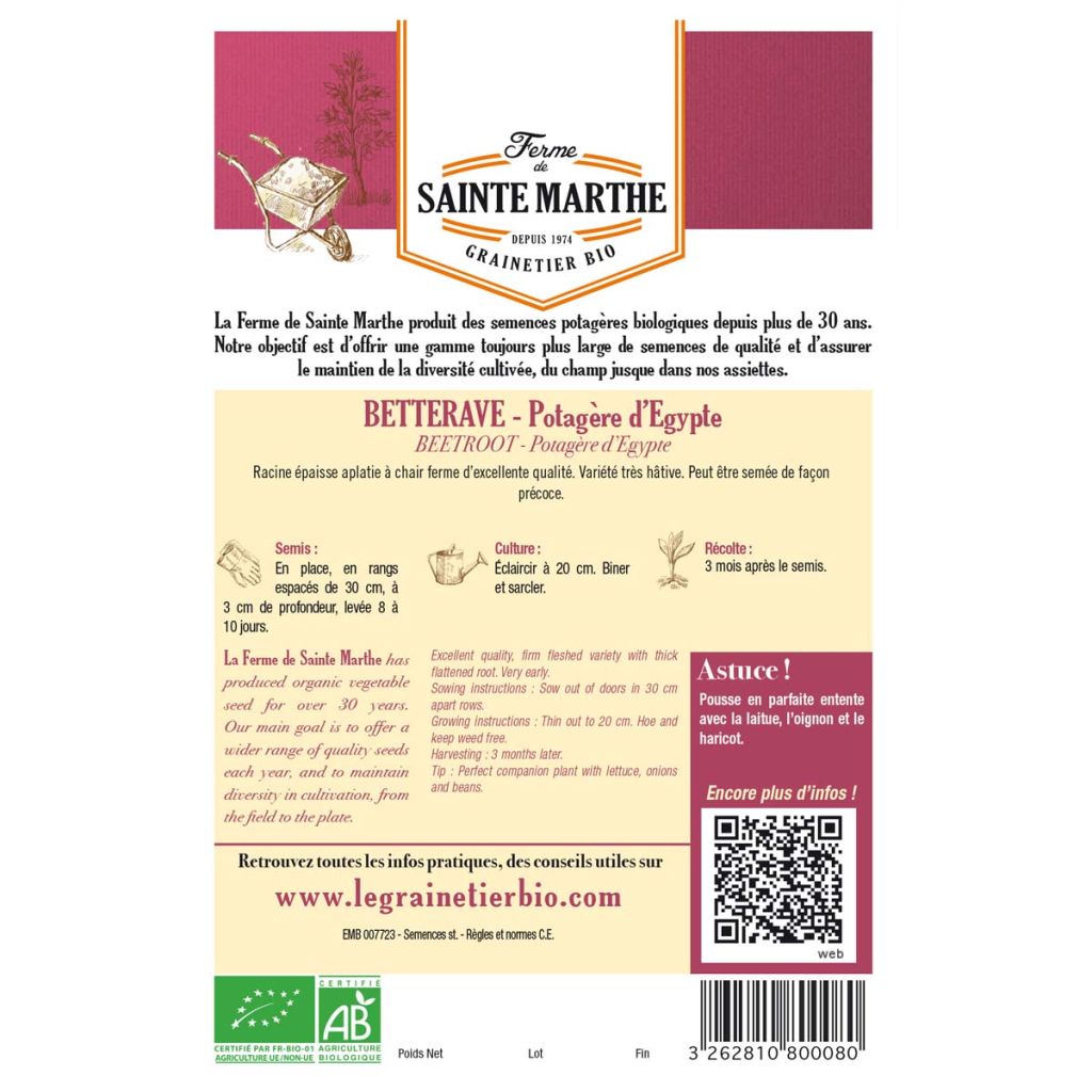 Remolacha de mesa D'Egypte