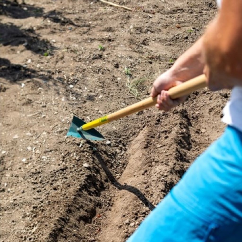 Azada colineal japonesa Leborgne NaturOvert