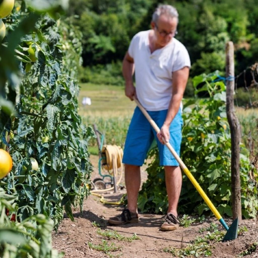 Azada colineal japonesa Leborgne NaturOvert