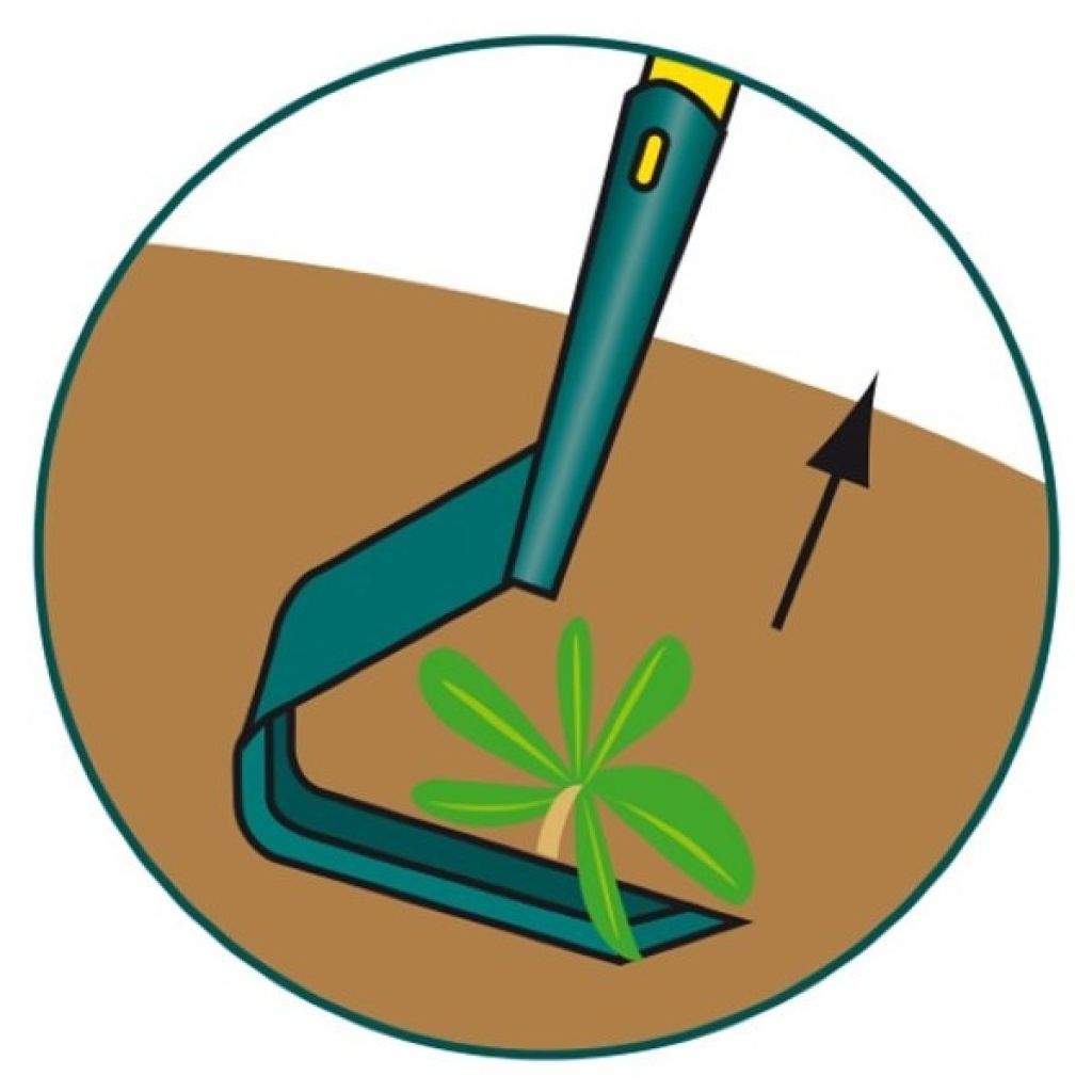 Azada colineal hoja en V Leborgne NaturOvert