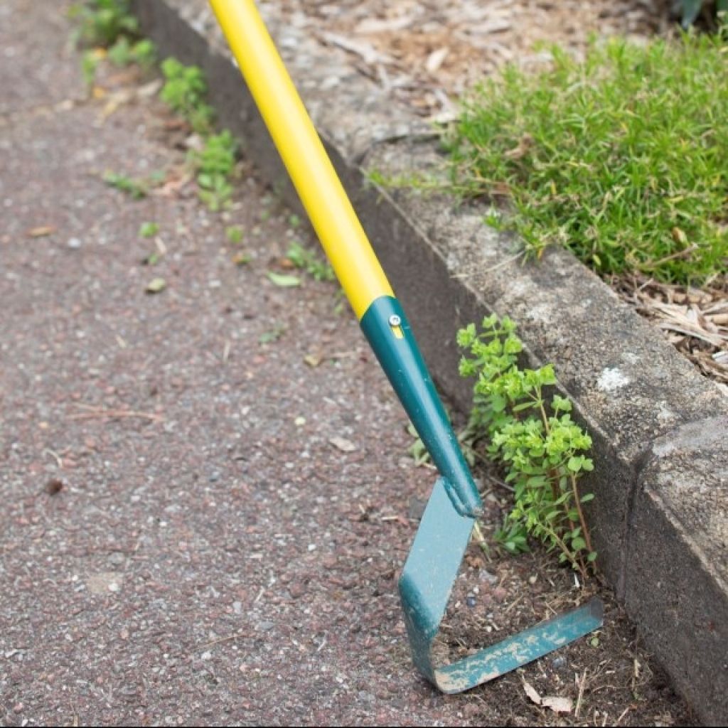 Azada colineal hoja en V Leborgne NaturOvert