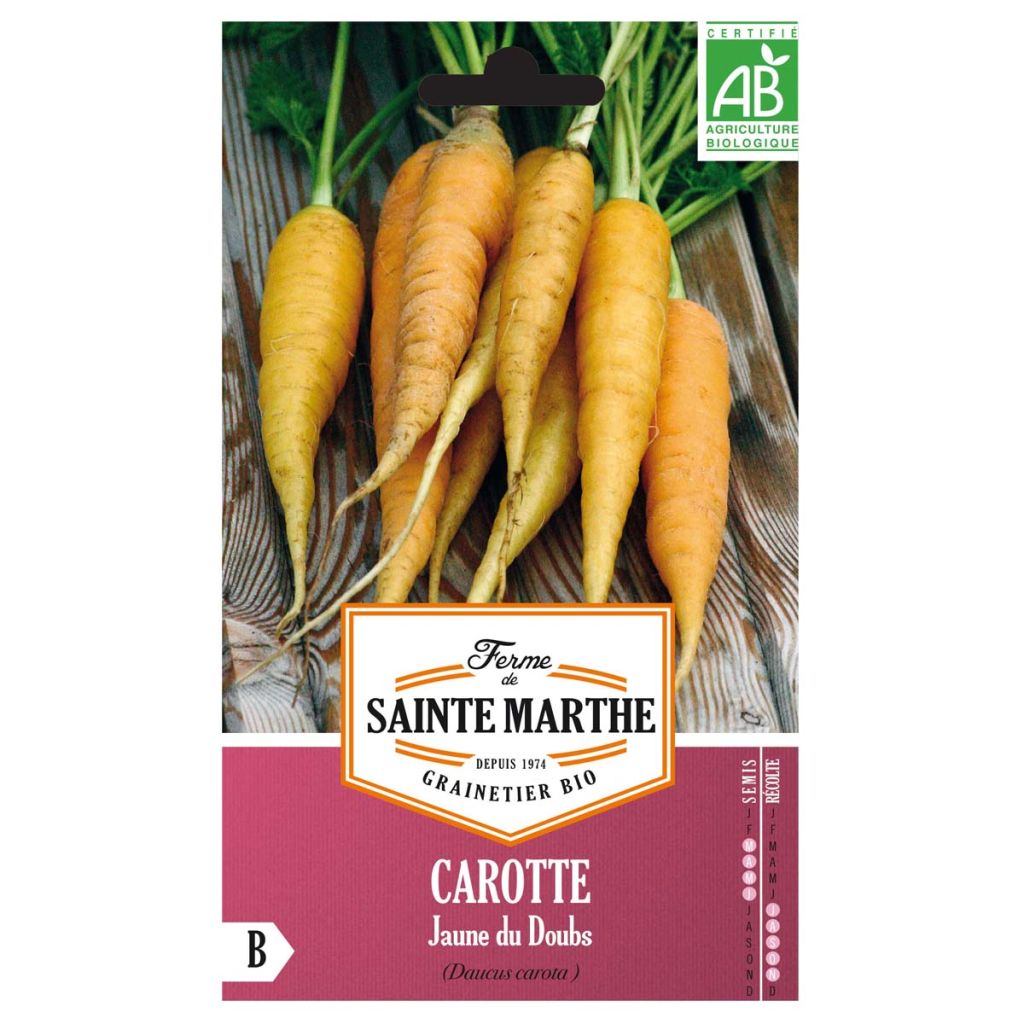 Zanahoria jaune du Doubs