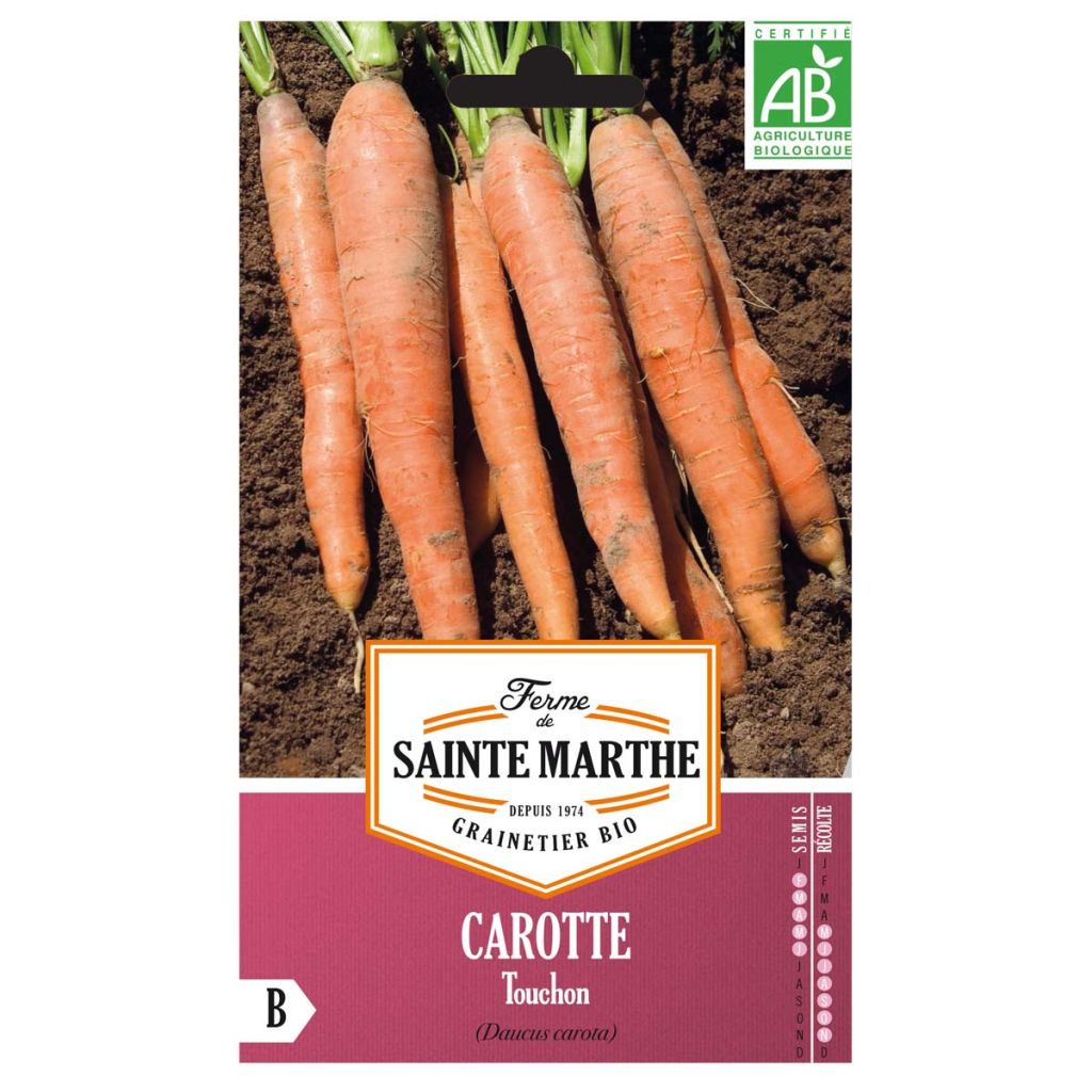 Zanahoria Touchon Bio - Ferme de Sainte Marthe