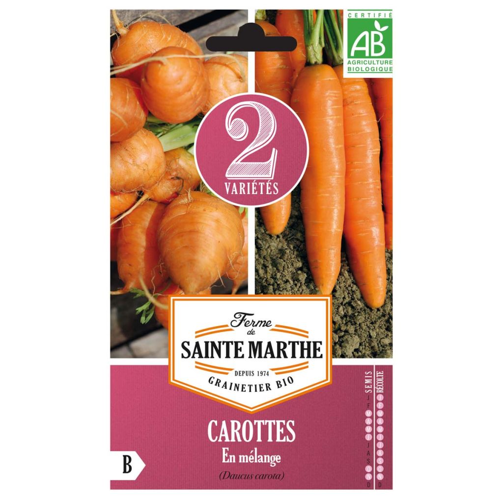 Zanahoria marché de Paris 3 - Nantaise 2