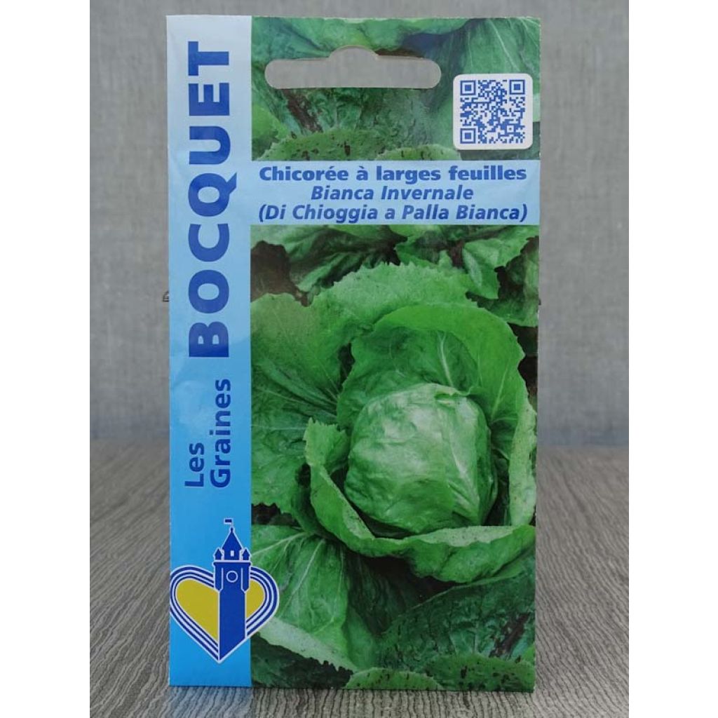Escarola Bianca invernale (di chioggia a palla Bianca)