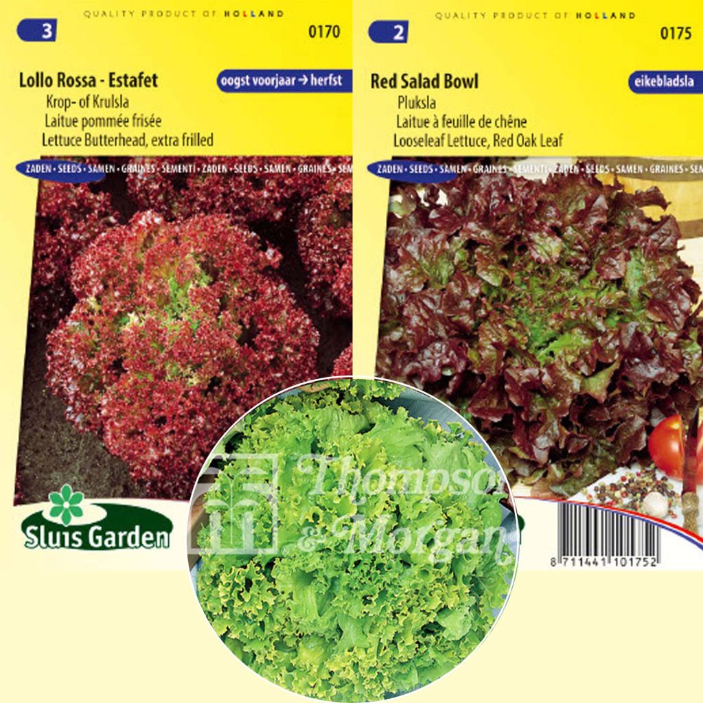 Colección de 3 Mezclum BIO