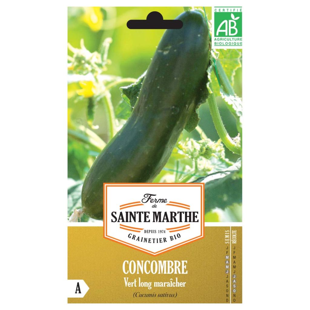 Pepino Vert long maraîcher Bio - Ferme de Sainte Marthe