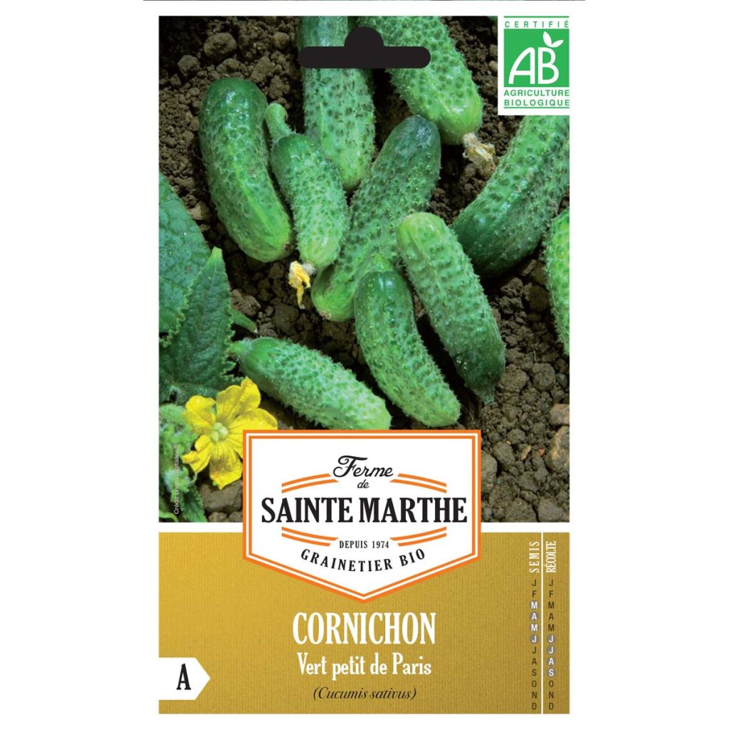 Pepinillo Vert Petit de Paris Bio - Ferme de Sainte Marthe