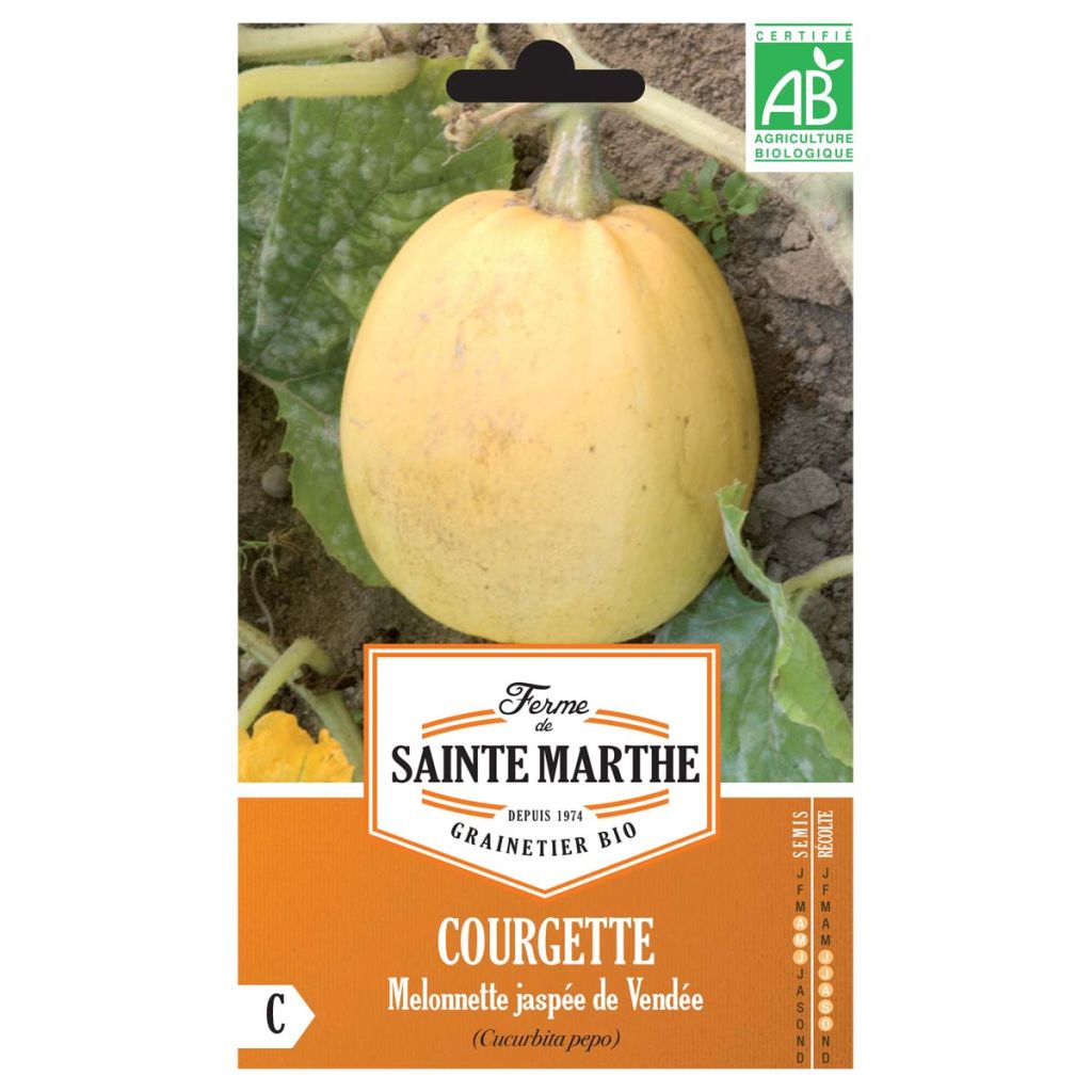 Calabacín Melonnette Jaspée de Vendée