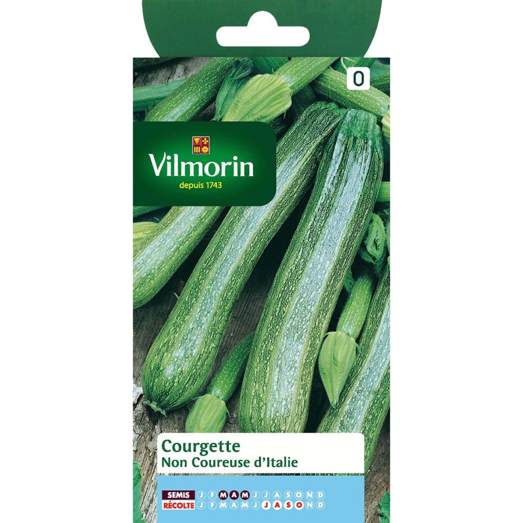 Calabacín d'Italie