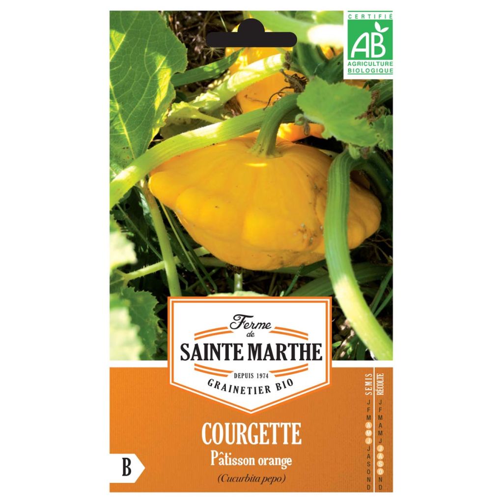 Calabaza bonetera Pâtisson Orange Bio - Ferme de Sainte Marthe