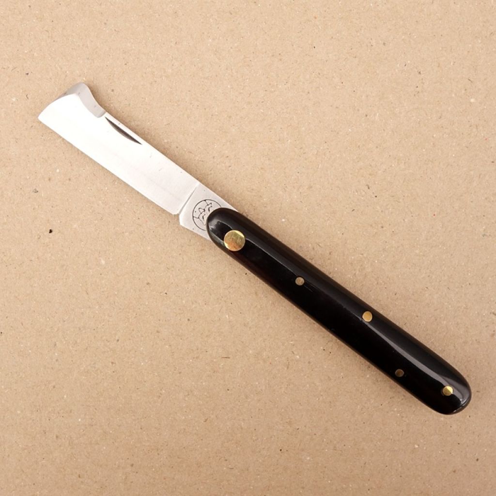 Injerto de escudete negro para vid