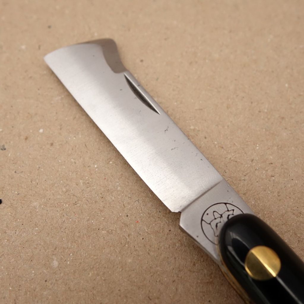 Injerto de escudete negro para vid