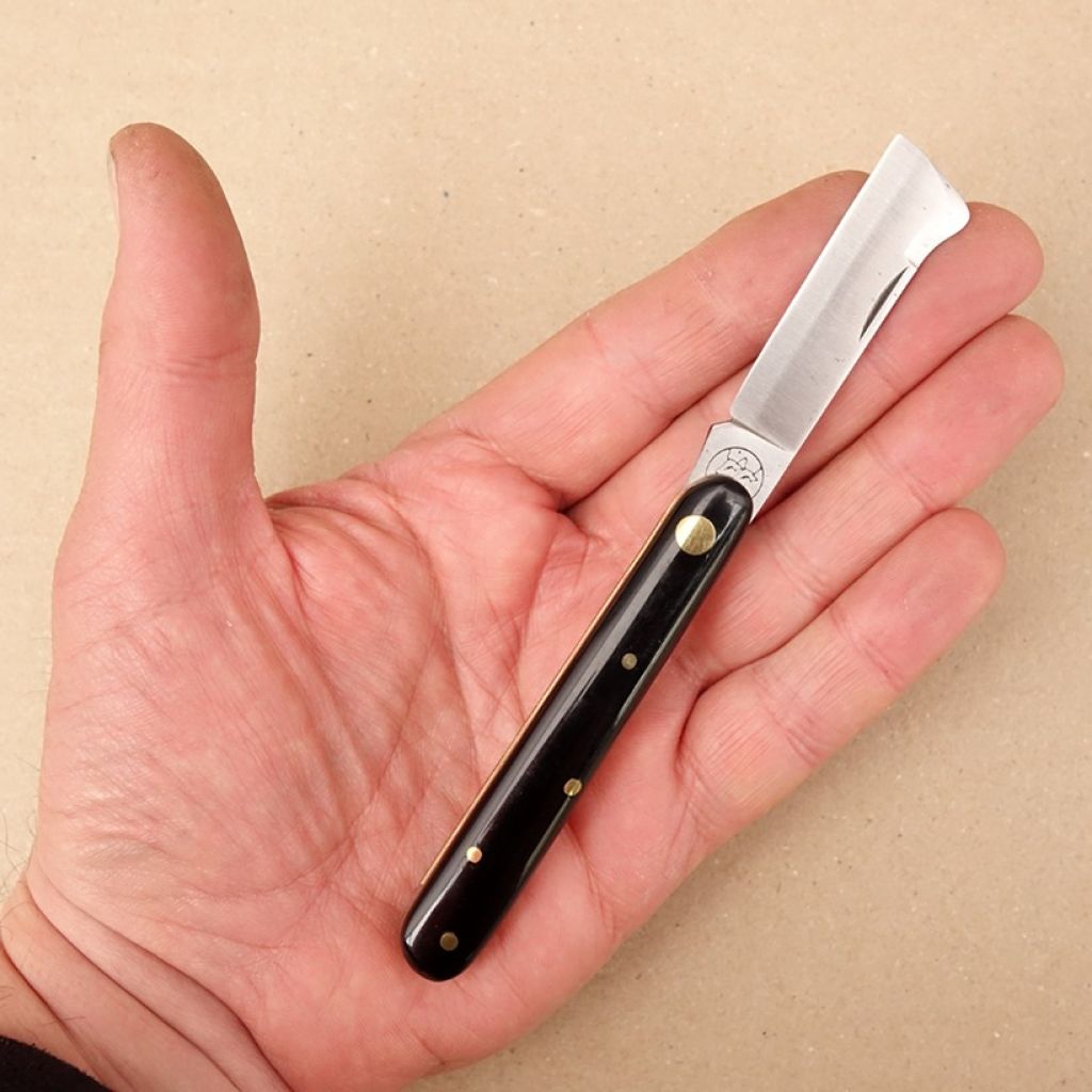 Injerto de escudete negro para vid