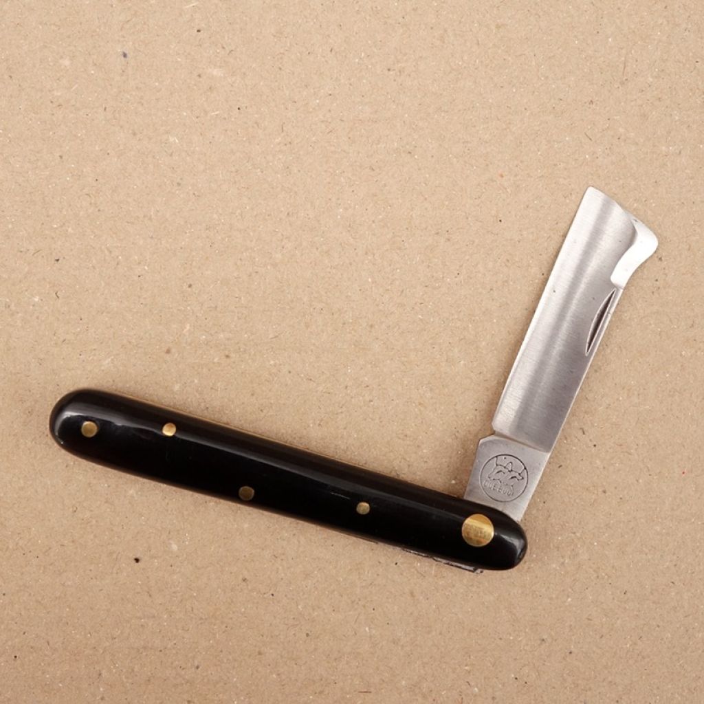 Injerto de escudete negro para vid