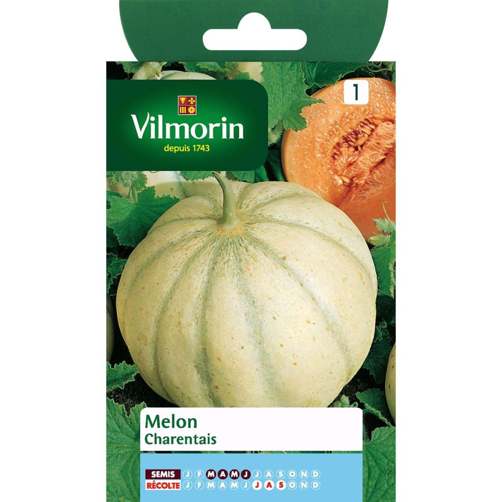 Melón Charentais - Vilmorin