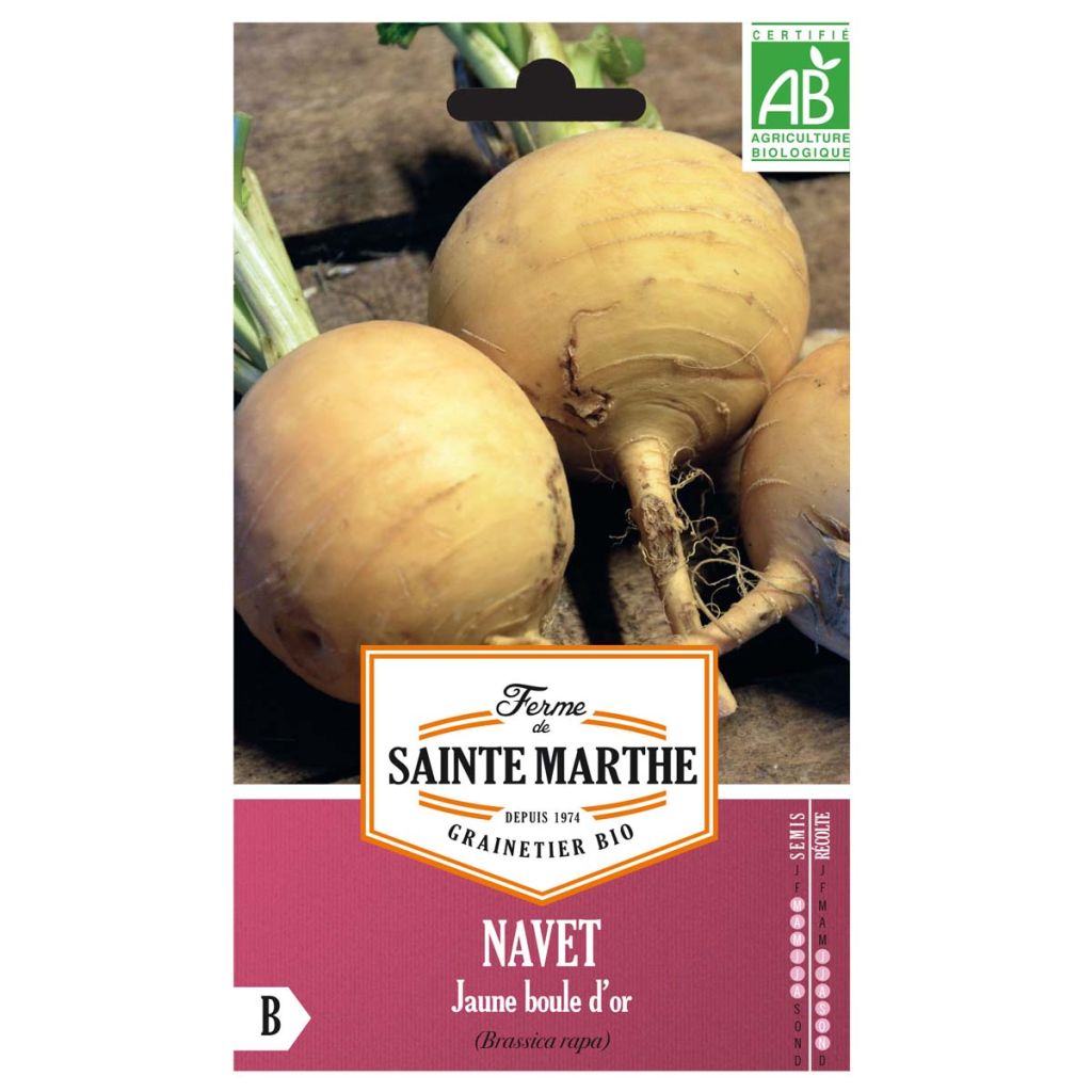 Nabo Boule d'Or Bio - Ferme de Sainte Marthe