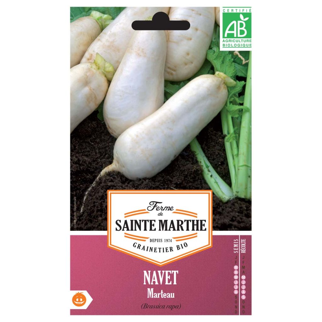Nabo Marteau Bio - Ferme de Sainte Marthe