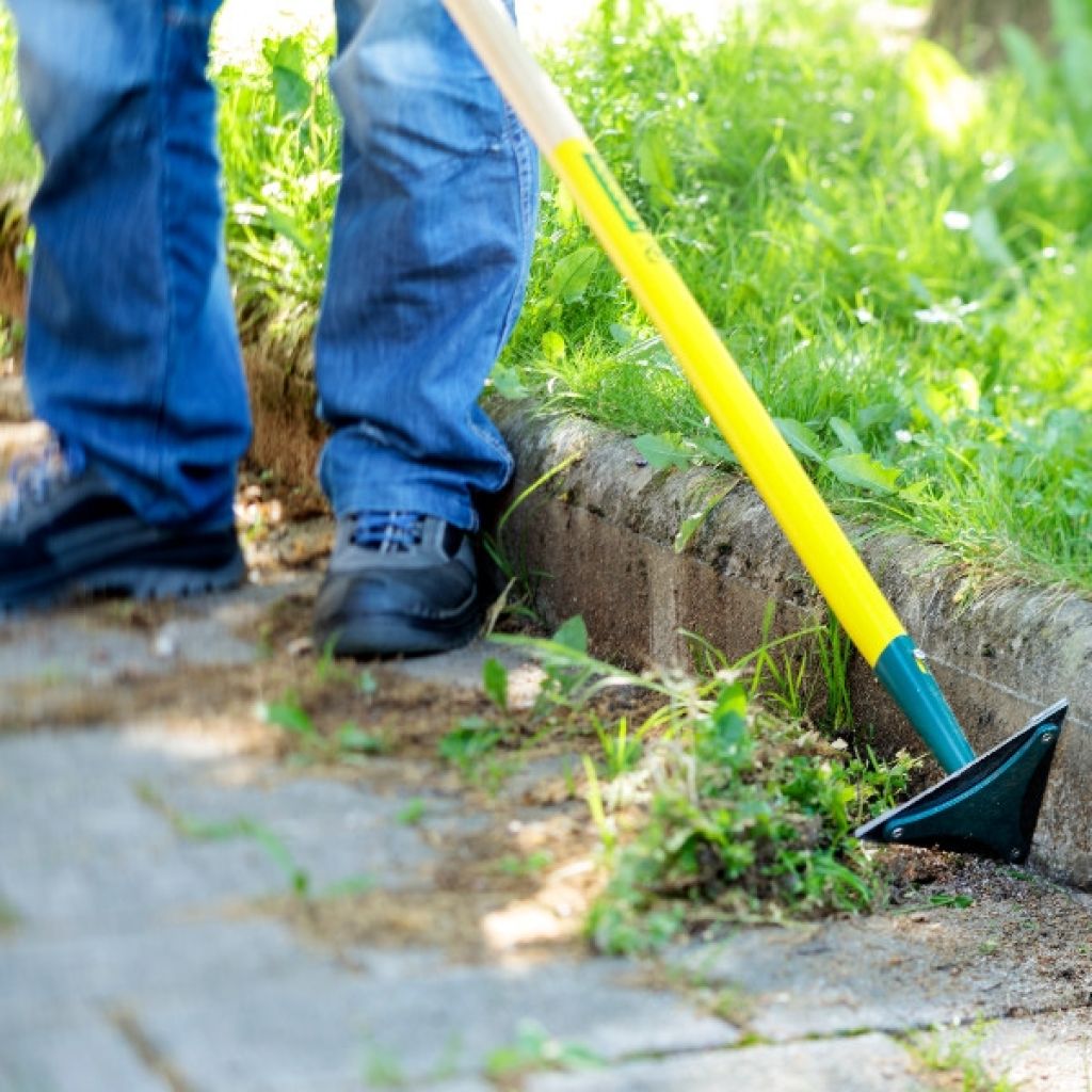 Rascador de Bordillos Leborgne NaturOvert