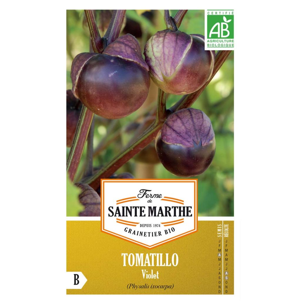 Fisalis Violet Bio - Ferme de Sainte Marthe