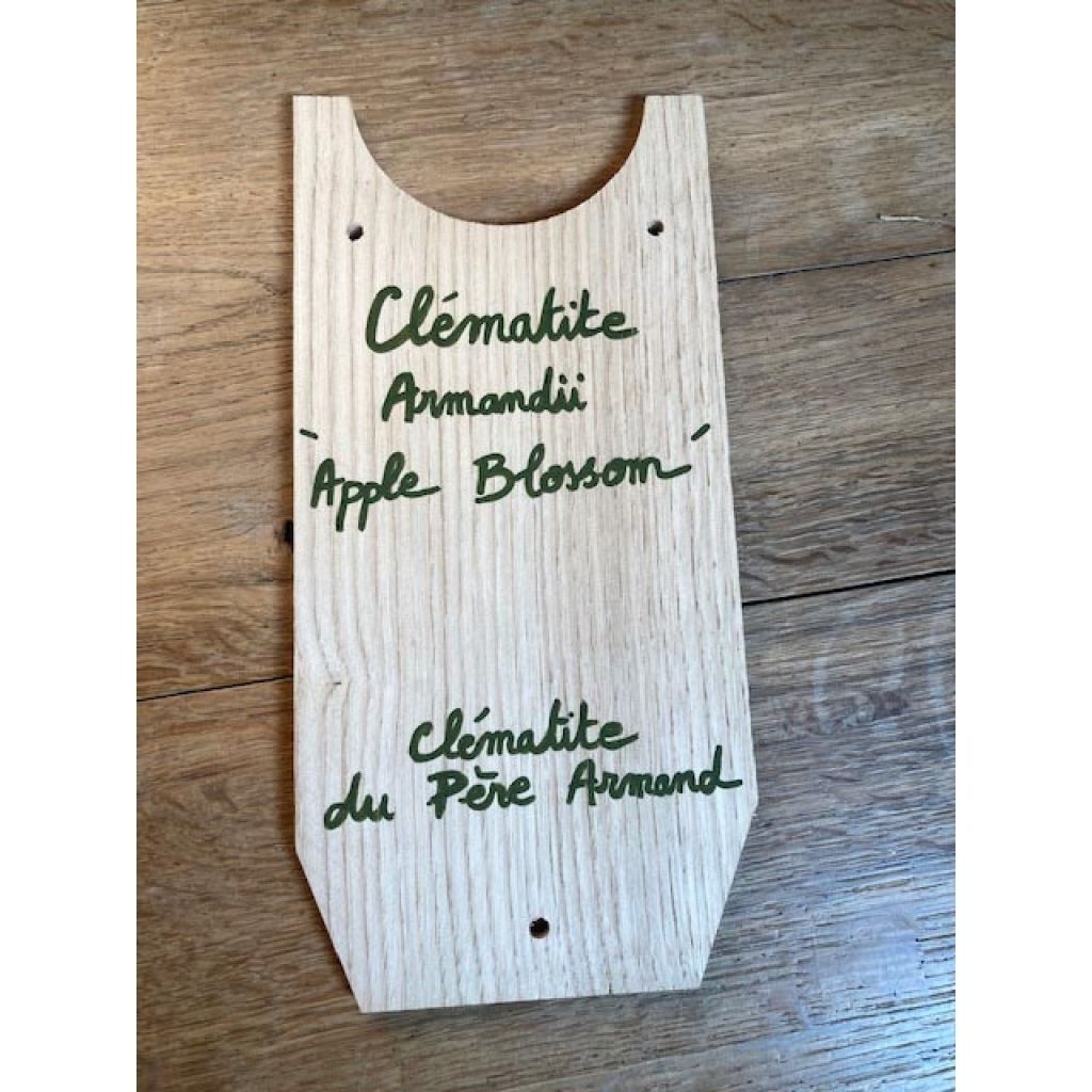 Teja de protección para clemátides en Castaño