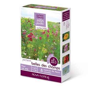 Barbecho Flores del campo