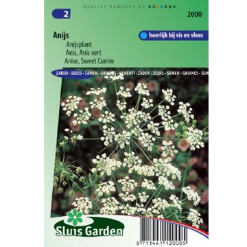 Anís - Pimpinella anisum (semillas)