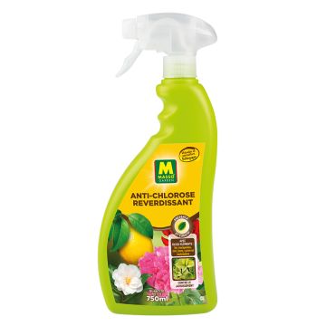 Anti-Clorosis PAE 750 ml UAB Masso