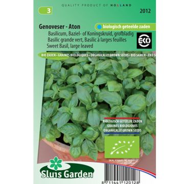 Albahaca Gustosa Genoveser