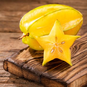 Carambola Arkin
