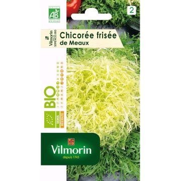 Achicoria de Bruselas de Meaux Bio - Vilmorin