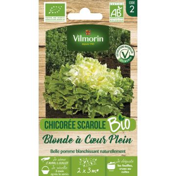 Escarola Blonde à Cœur Plein - Vilmorin