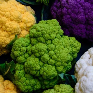 Coliflor Vitaverde