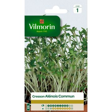 Mastuerzo - Vilmorin