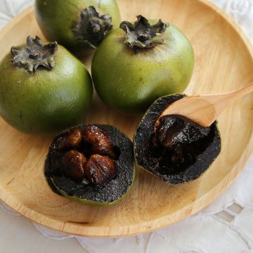 Zapote negro - Diospyros digyna