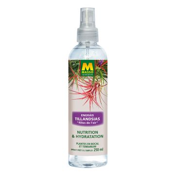 Abono foliar para Tillandsias / chicas del aire de Masso Garden