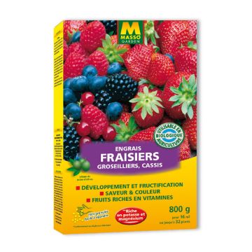 Abono en Gránulos para Fresas, Grosellas y Grosellero Negro UAB Masso Garden Abono en Gránulos para Fresas, Grosellas y Grosellero Negro UAB Masso Garden