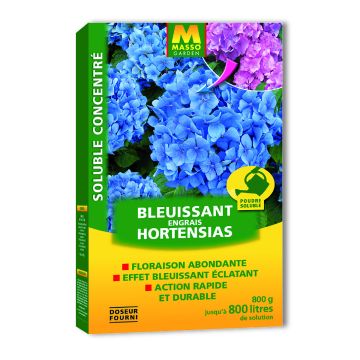 Abono soluble azulador para Hortensias con sulfato de aluminio - Masso Abono soluble azulador para Hortensias con sulfato de aluminio - Masso