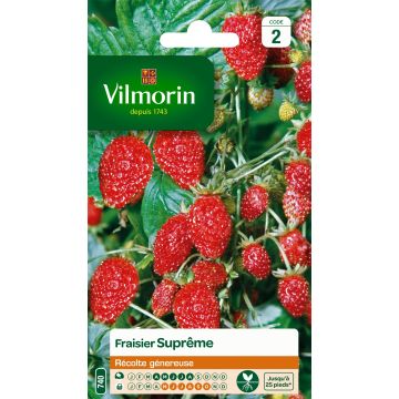 Fresa de las 4 estaciones Vilmorin