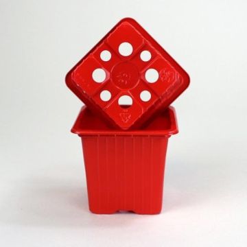 Maceta de color Rojo de Propagación - vendido por 30