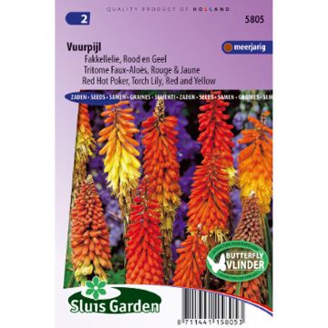 Kniphofia uvaria Red et Yellow